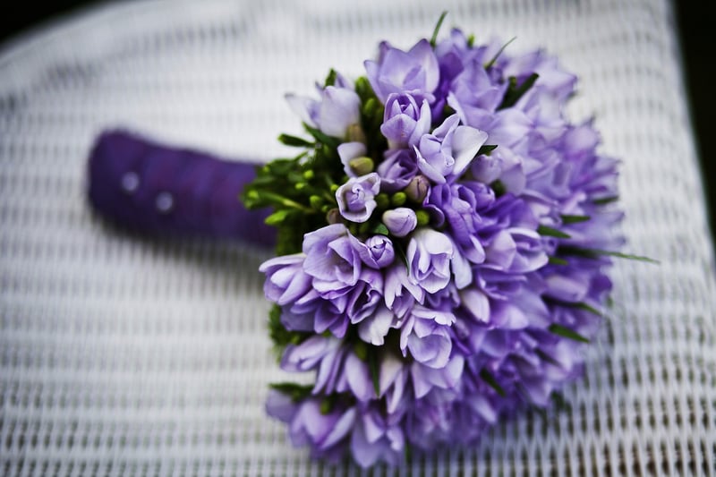 Enchanted Florals and Botanicals